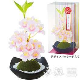 カメヤマ 苔玉フレグランス 桜 江戸桜の香り
